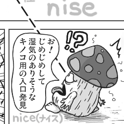 U̓甲